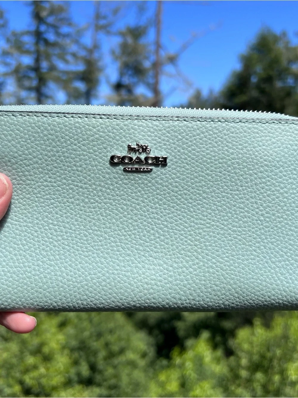COACH Long Zip-Around Pebble Leather Wallet Sea Foam Green with Silver Hardware